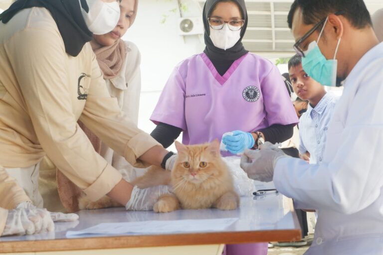 Celebrate World Rabies Day 2022, FVM USK held free vaccinations for cats and dogs. Sunday, October 2, 2022.